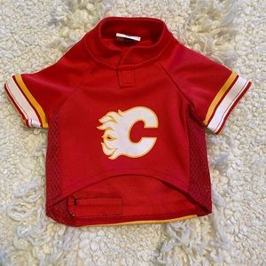 Flames puppy shirt